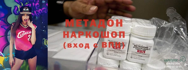 прущие грибы Аркадак
