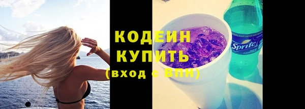 прущие грибы Балахна