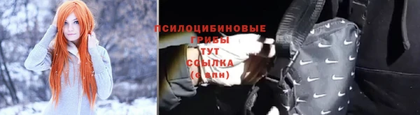 гидропоника Арсеньев