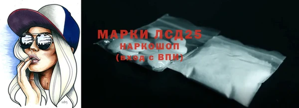 прущие грибы Балахна