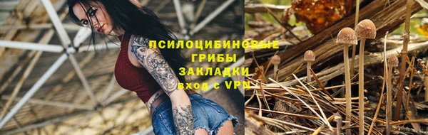 гидропоника Арсеньев