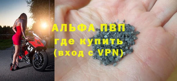 прущие грибы Аркадак