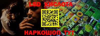 прущие крисы Бийск