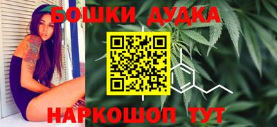 стаф Гатчина