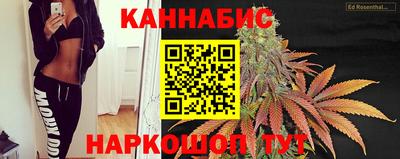 прущие крисы Бийск