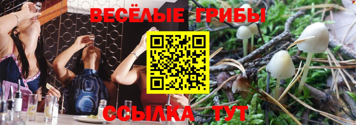 Псилоцибиновые грибы Cubensis Бузулук
