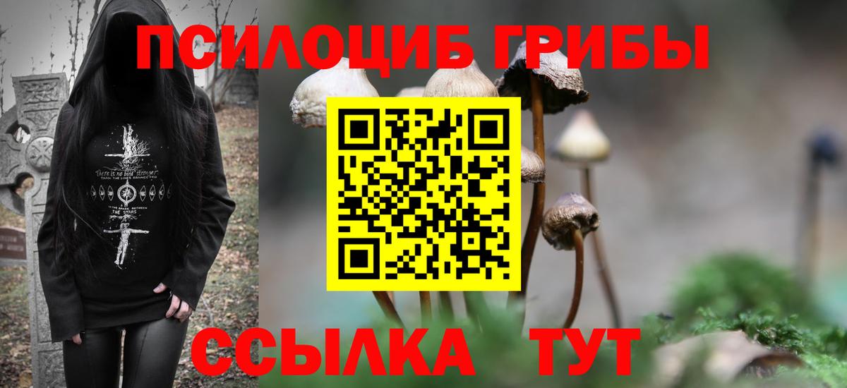 Галлюциногенные грибы Psilocybine cubensis  Вход с VPN  Бузулук  Псилоцибиновые грибы MAGIC MUSHROOMS 