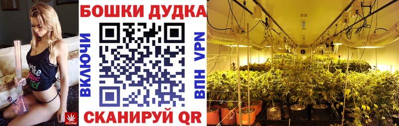 Бошки Шишки VHQ  OMG ссылка  Бузулук  закладка 